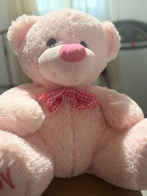 Large plush teddy bear like new baby girl