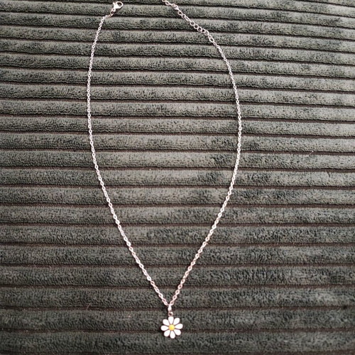 Necklace with daisy new, silver