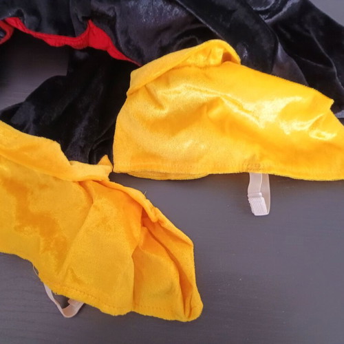Mickey Mouse Disney costume used