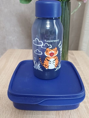 Tupperware set with divided container and 350ml bottle new
