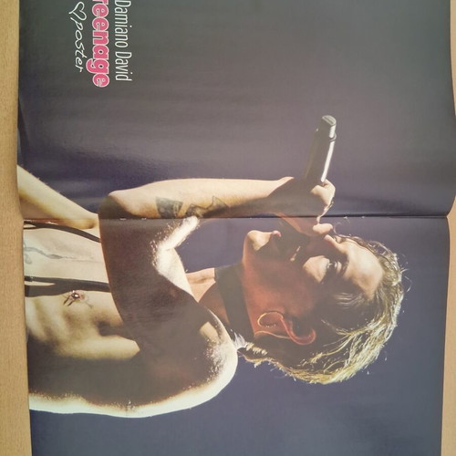 Damiano David Teenage poster