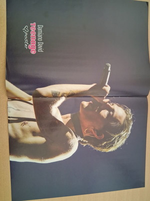 Damiano David Teenage poster