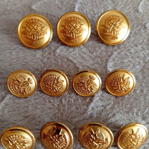 Set of gold buttons, 3 large and 8 small