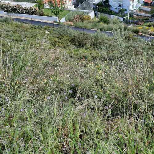 Land 1,003 m² in Neos Voutzas with sea view, within city plan