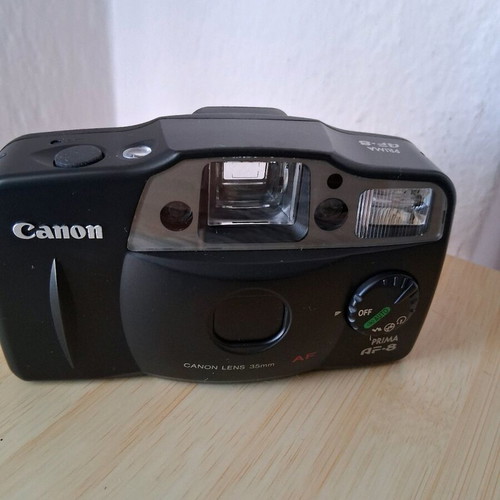 Canon camera used with battery door issue