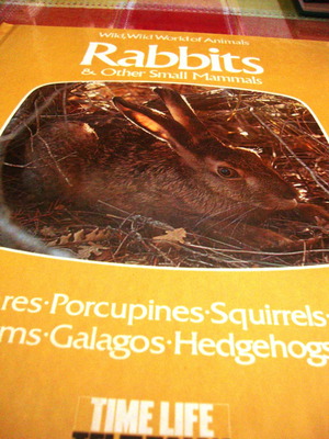 Wild, Wild World of Animals Rabbits & Other Small Mammals καινούργιο