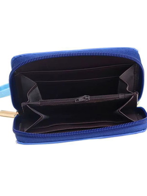 Frozen Wallet with Elsa brand new, blue