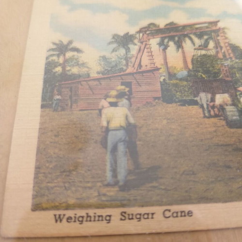 Framed print with vintage sugar cane weighing image in Havana used