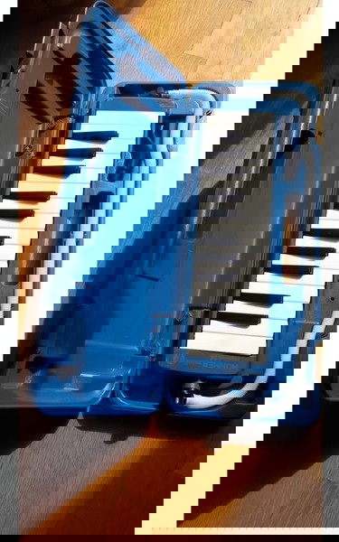 Пиано или Мелодика Hohner