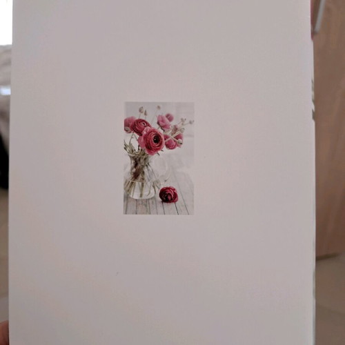 Peonies postcard new with envelope