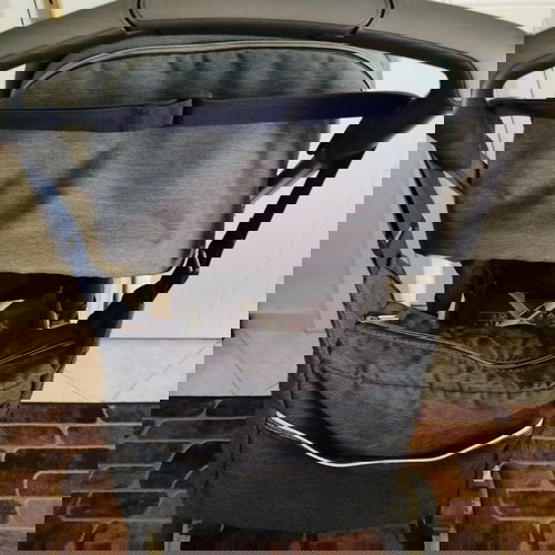 Inglesina Trilogy System Duo Village Denim stroller frame white like new