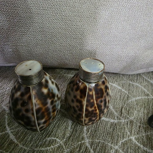 Salt and pepper set made of natural shell like new