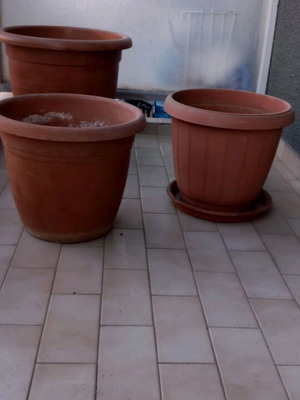 Flower pots three large with simple saucer and saucer with wheels