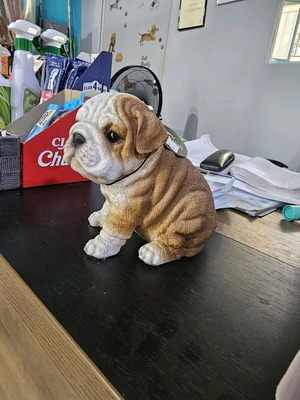 Διακοσμητικό ομοίωμα σκύλου από ρητίνη