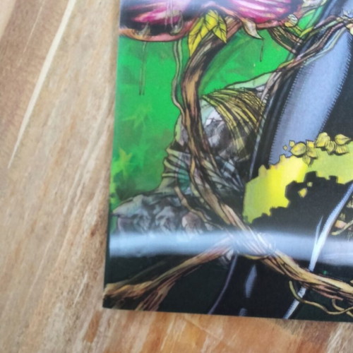 Detective Comics 2nd Series #23.1 Poison Ivy 3D cover like new