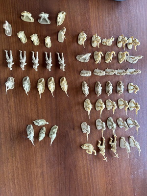 Vintage toy soldiers used, large set of 57 pieces, ecru plastic