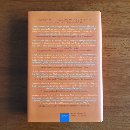 Emotionale Führung by Daniel Goleman like new, German language