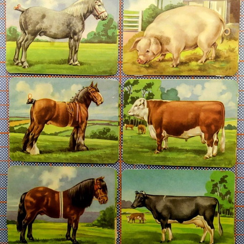 Vintage paper scraps with farm animals used, set of 6 pieces
