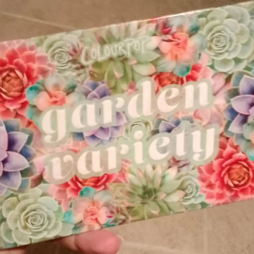 ColourPop Palette New