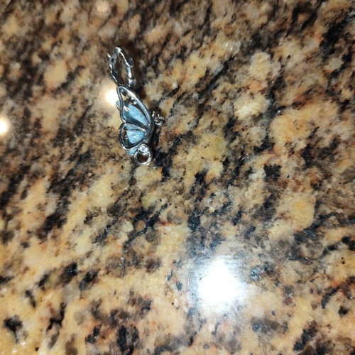 Pandora charm