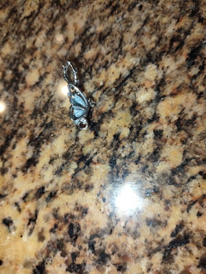 Pandora charm