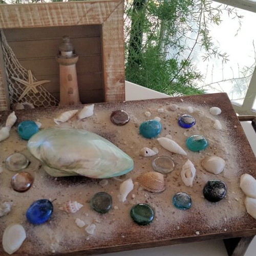 Mother of Pearl Collectible Freshwater Mussel Shell new, 6cm