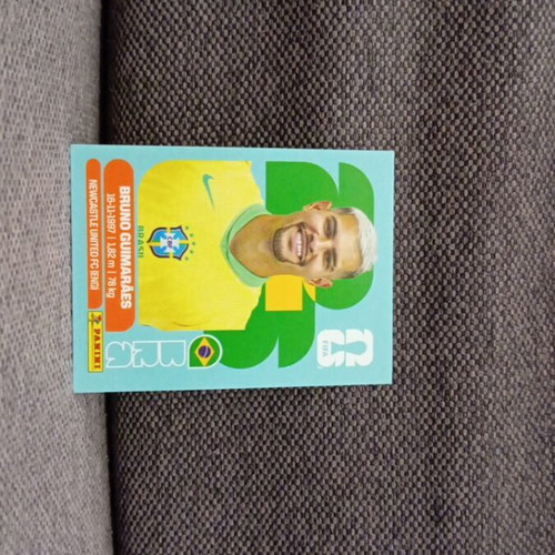 Fifa World Cup 2026 Panini sticker
