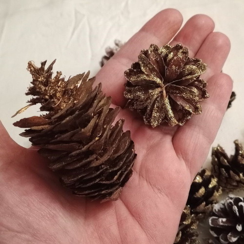 Decorative pine cones new, pack of 20 with glitter