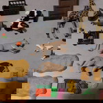  Playmobil Wild Life Κιβωτός Του Νώε