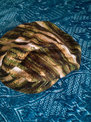Hat with nice colors