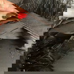  ZINI Atelier