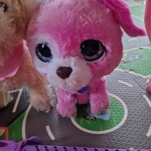 Activity toys like new with accessories