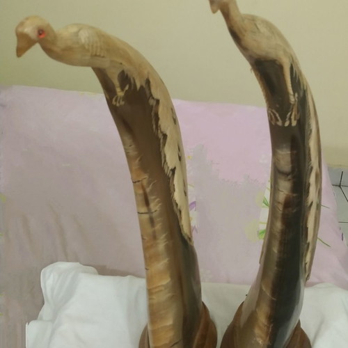 Handmade horn peacock decorations new, set of two pieces