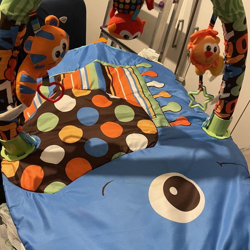 Baby gym play mat with hanging toys