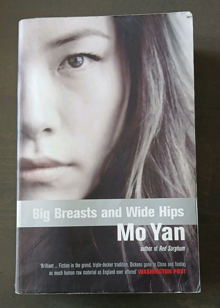 Big Breasts, Wide Hips by Yan Mo ENGLISH Book