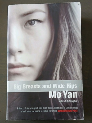 Big Breasts, Wide Hips by Yan Mo ENGLISH Book