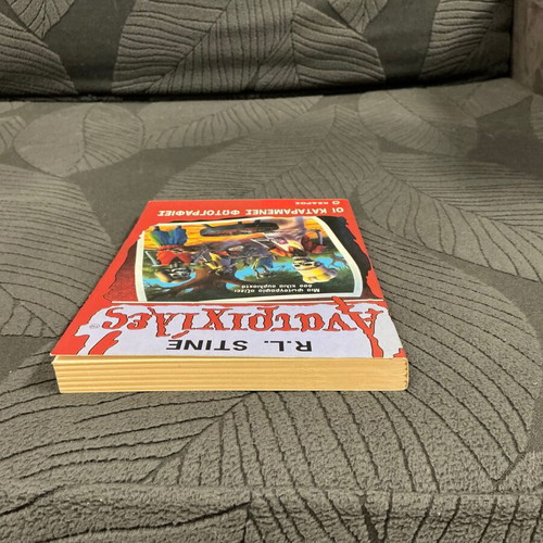 Goosebumps No 4 The Cursed Photos book used