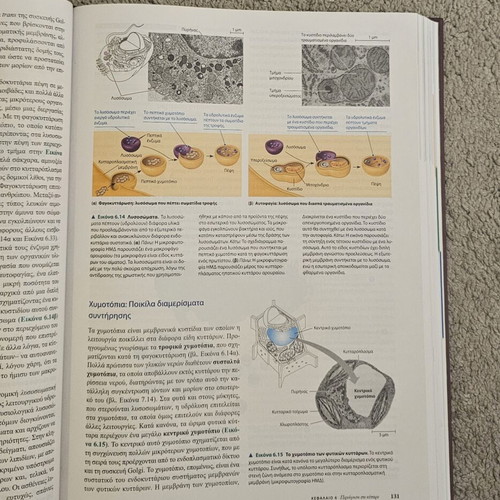 Biology Volume I like new, Campbell & Reece, Chemistry of Life, Cell, Genetics
