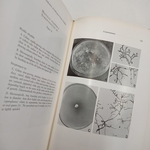 Laboratory Identification of Pathogenic Fungi Second Edition book used, English