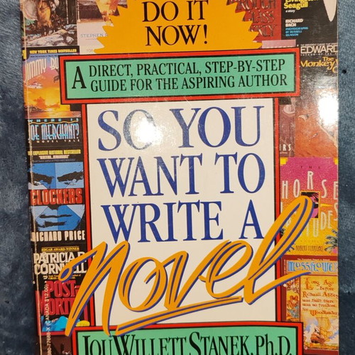 So You Want to Write a Novel book by Lou Willett Stanek