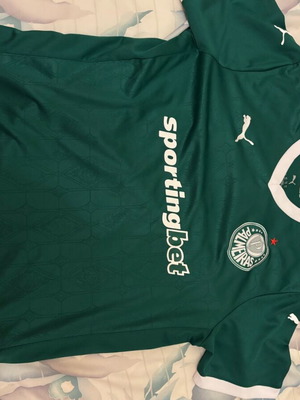 Palmeiras Jersey 2025-2026 Season New, Size XL