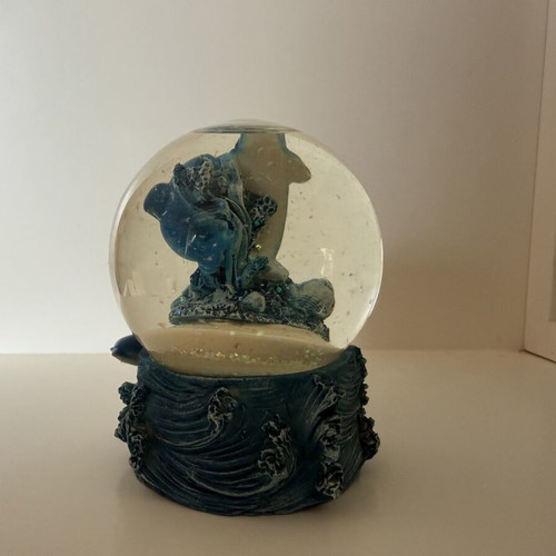 Snow globe used, no damage