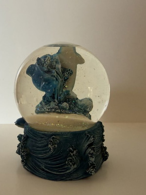 Snow globe used, no damage