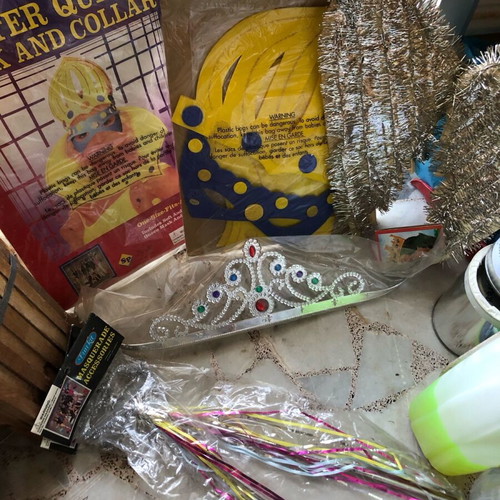 Carnival wires, sticks and feathers new