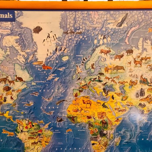The World of Wild Animals Educational Poster like new, wooden frame