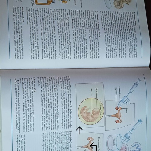 Der Körper des Menschen book like new, German anatomy guide