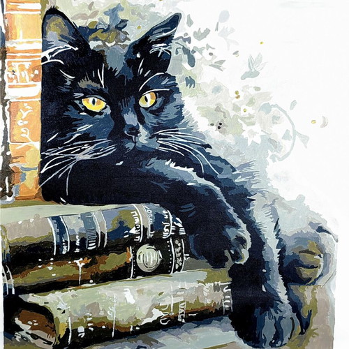Paint by Number Canvas Picture Acrylic Cat Painting 50x40cm new