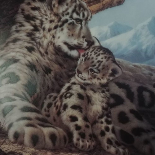 Decorative plate The Snow Leopard W.J.George 1989 new