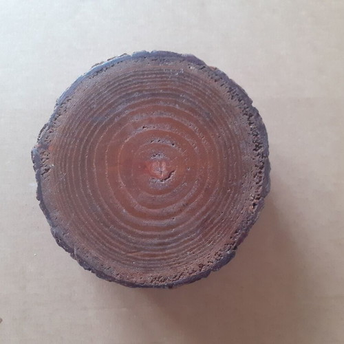 Wooden rustic tree trunk ashtray like new
