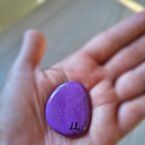 Handpainted decorative painted pebble magnet new